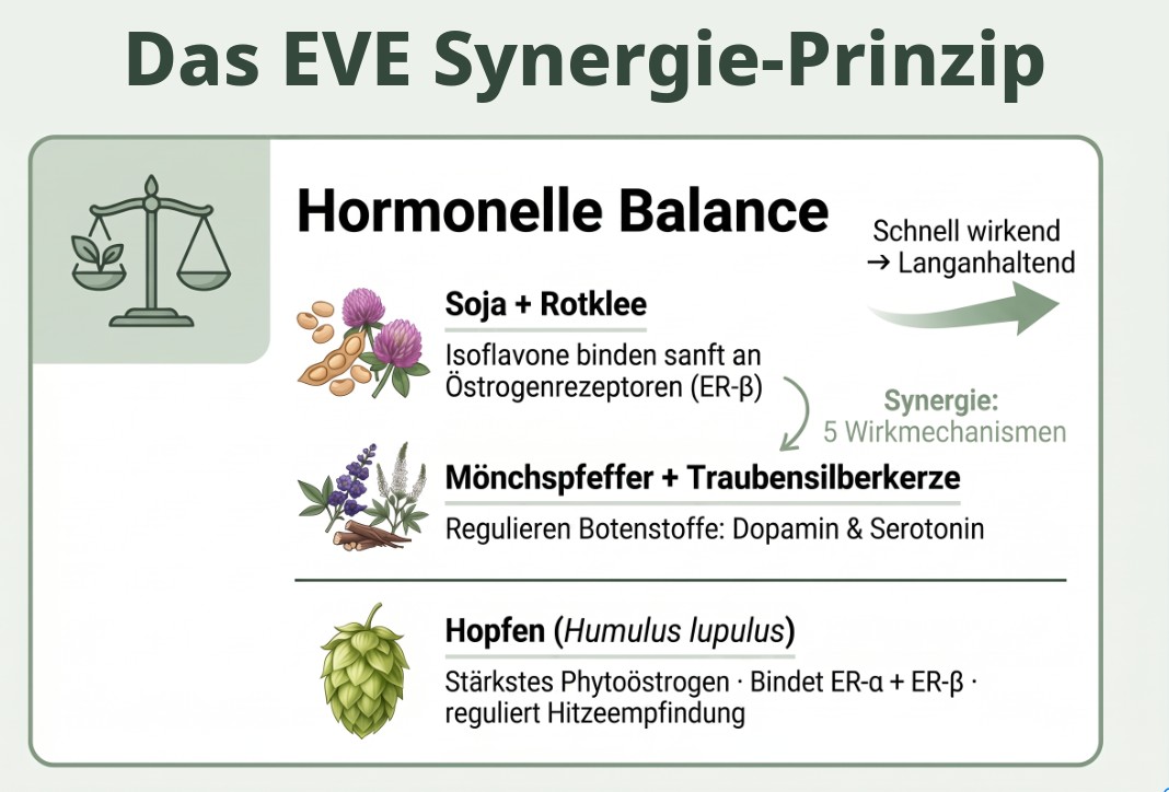 eve_synergie_wechseljahre