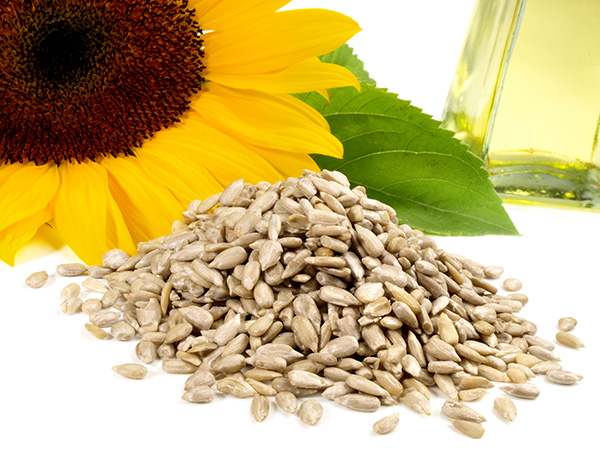 Sonnenblumen-Lecithin